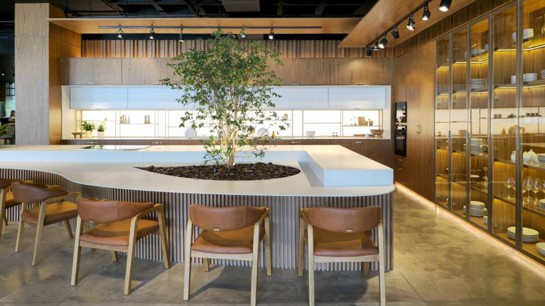 Ao planejar sua sala de jantar, limite-se apenas às fronteiras de sua imaginação.